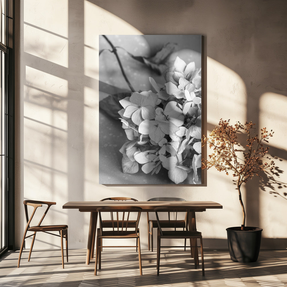 Kuivatut kukat lautasella_mustavalkoinen | Canvastaulut
