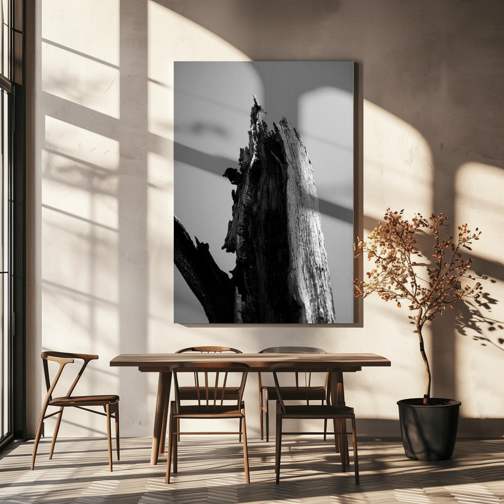 Zones humides 1 | Tableaux sur Toile