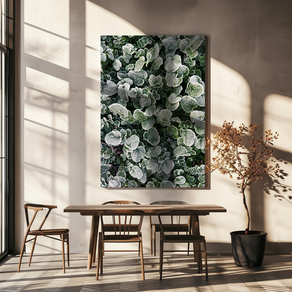 Huurteinen | Canvastaulut