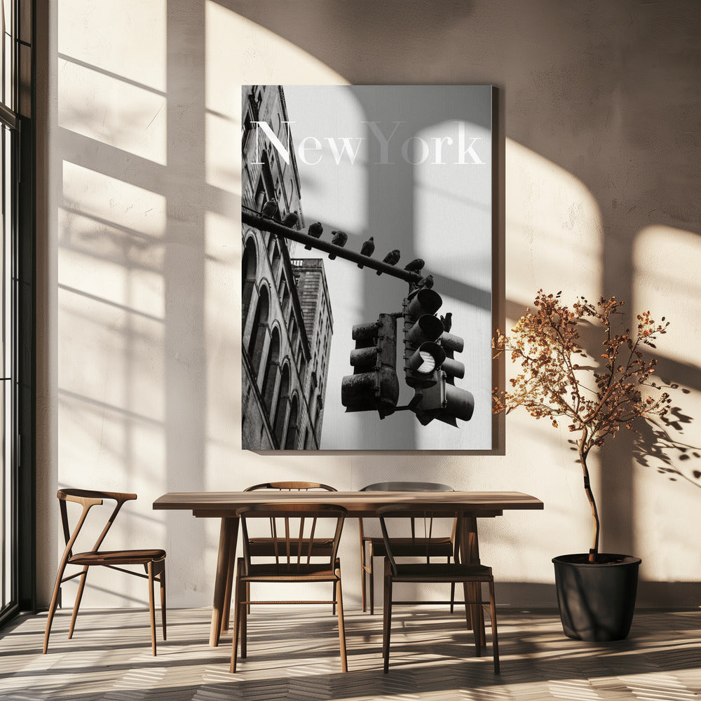 Gołębie z Nowego Jorku | Wydruki na łótnie