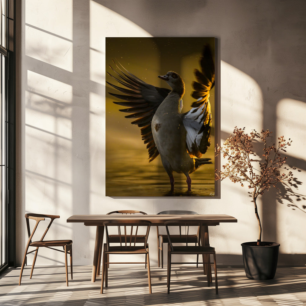 Corazón abierto | Impresiones en Lienzo