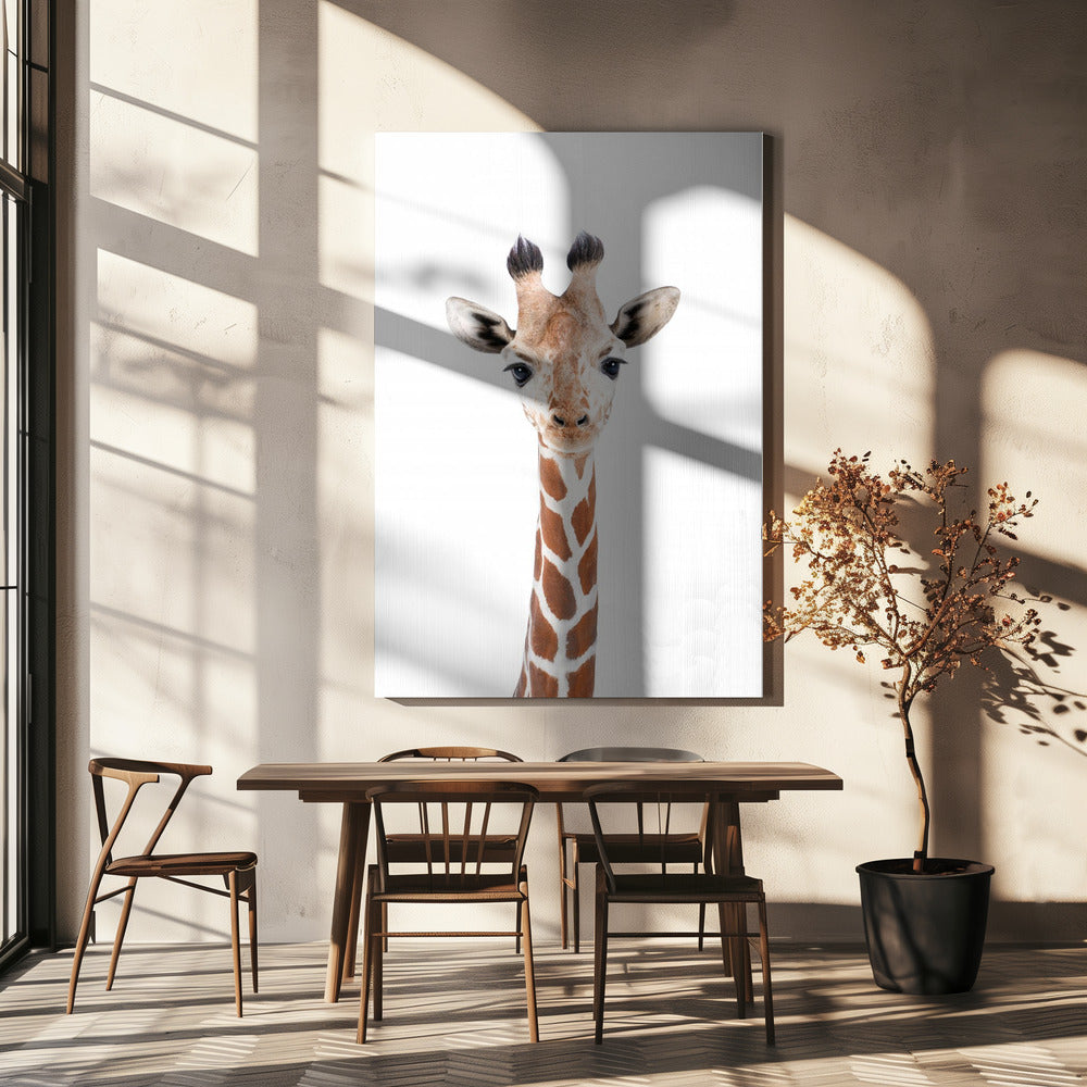 Giraffenbaby | Leinwand-Bilder