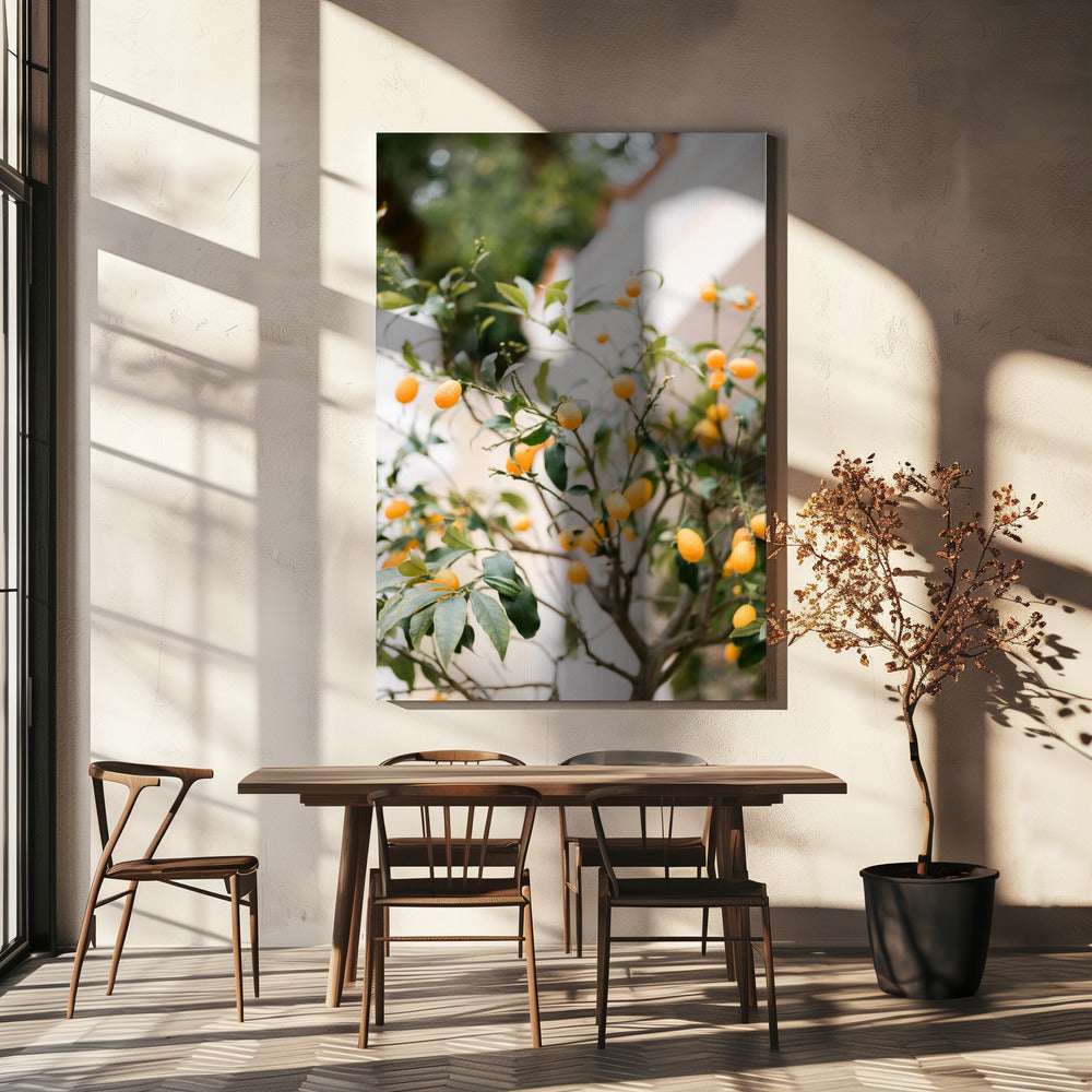 Orange Capri | Leinwand
