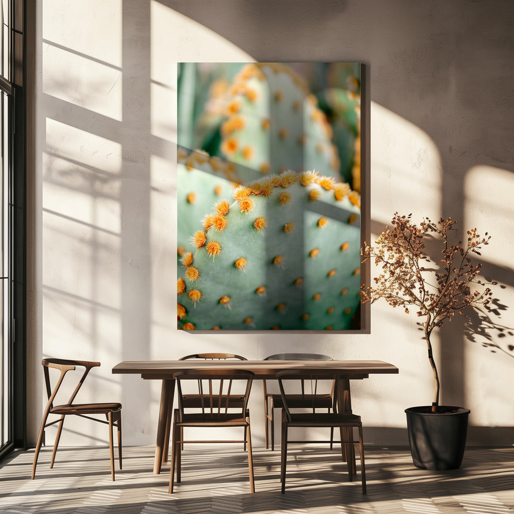 Orange und Grün II – Botanische Fotografie aus Marrakesch | Leinwand