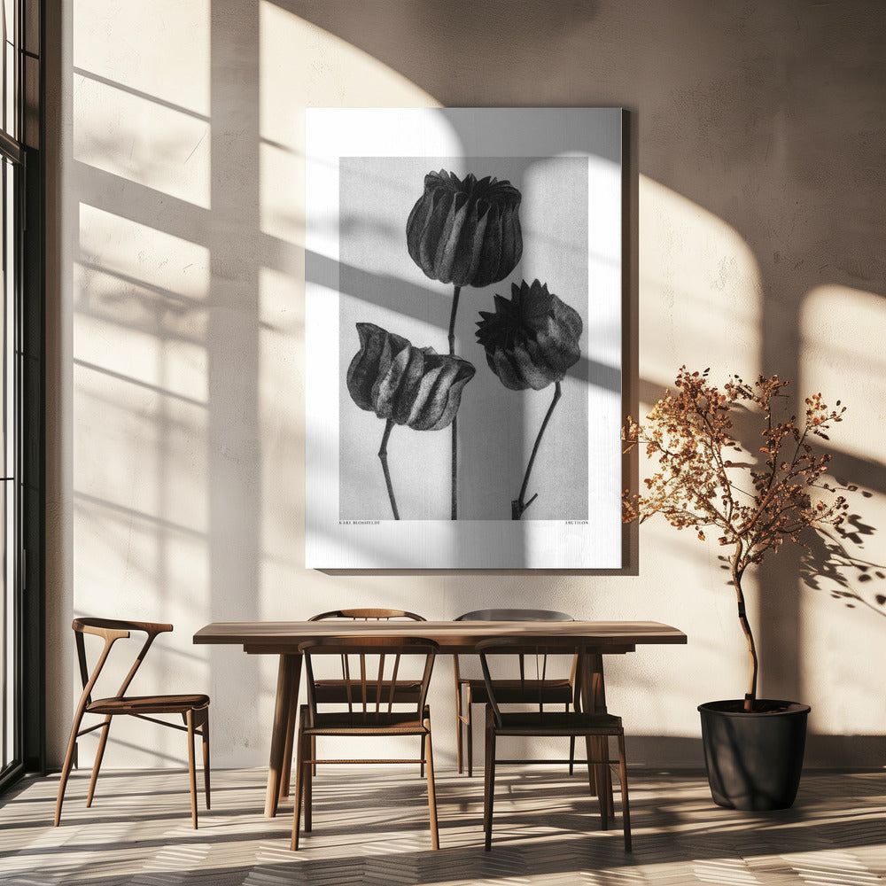 Abutilon (ślaz lekarski) Wydruki na łótnie