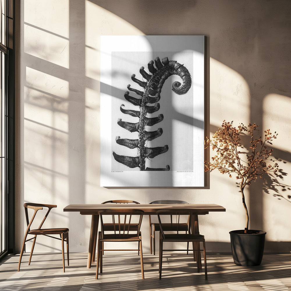 Czerwonokwiat pospolity Wydruki na łótnie