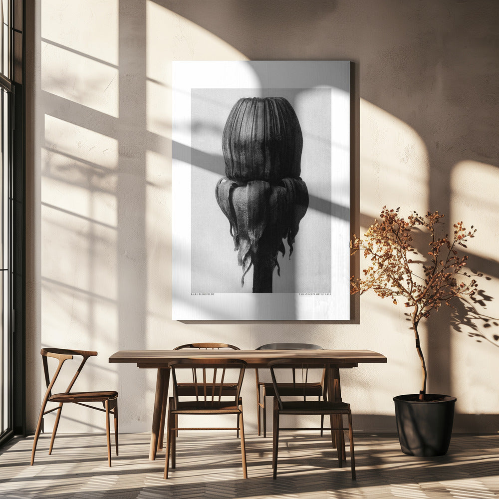 Mniszek lekarski Wydruki na łótnie