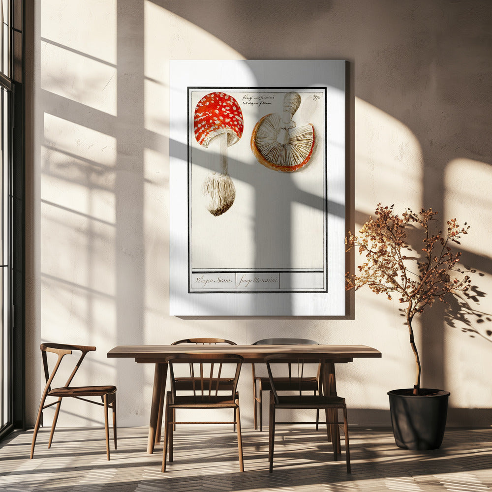 Muchomor, Amanita Muscaria | Wydruki na łótnie