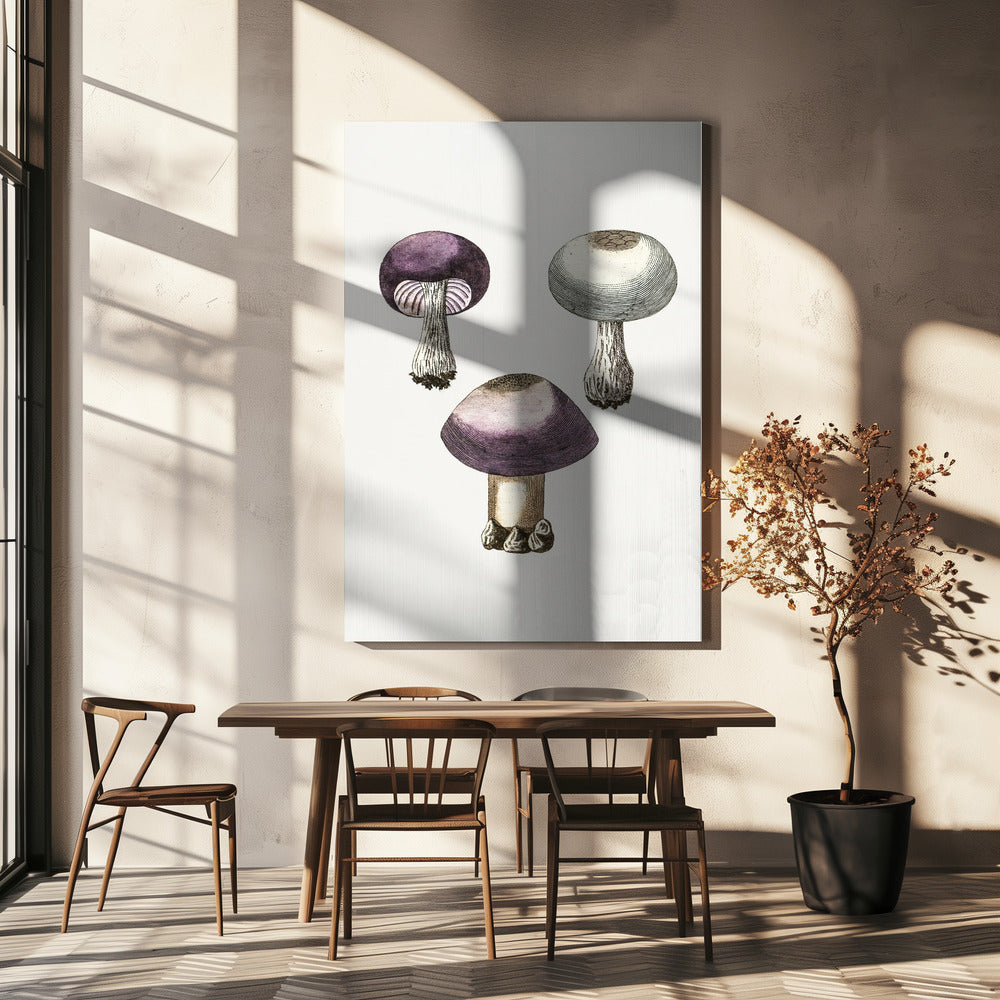 Grzybek Webcap z fioletową rączką | Wydruki na łótnie