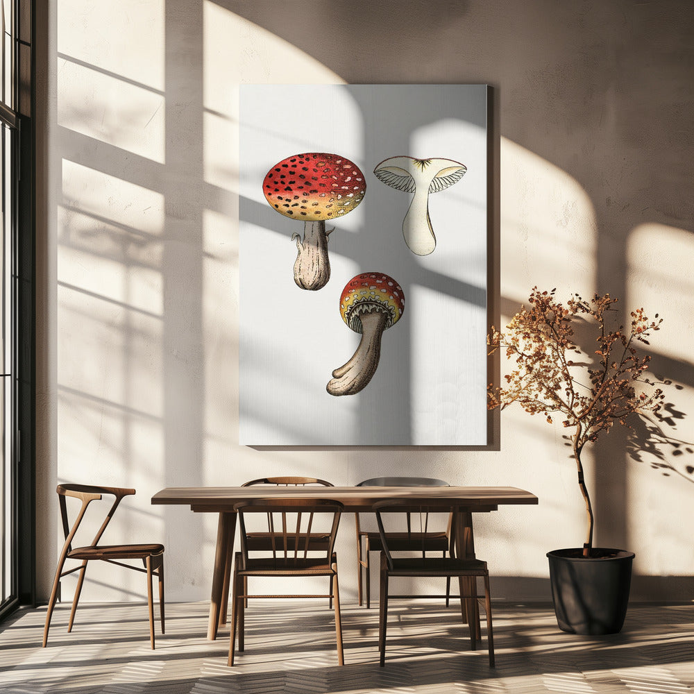Ręcznie rysowany grzyb muchomor czerwony | Wydruki na łótnie