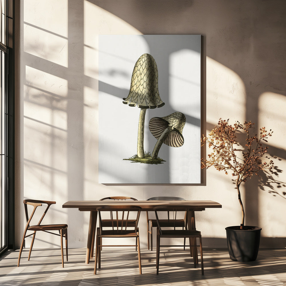 Grzyb jadalny Vintage Inky Cap | Wydruki na łótnie