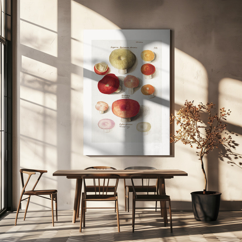 Boleten, Boletales Standing | Canvas