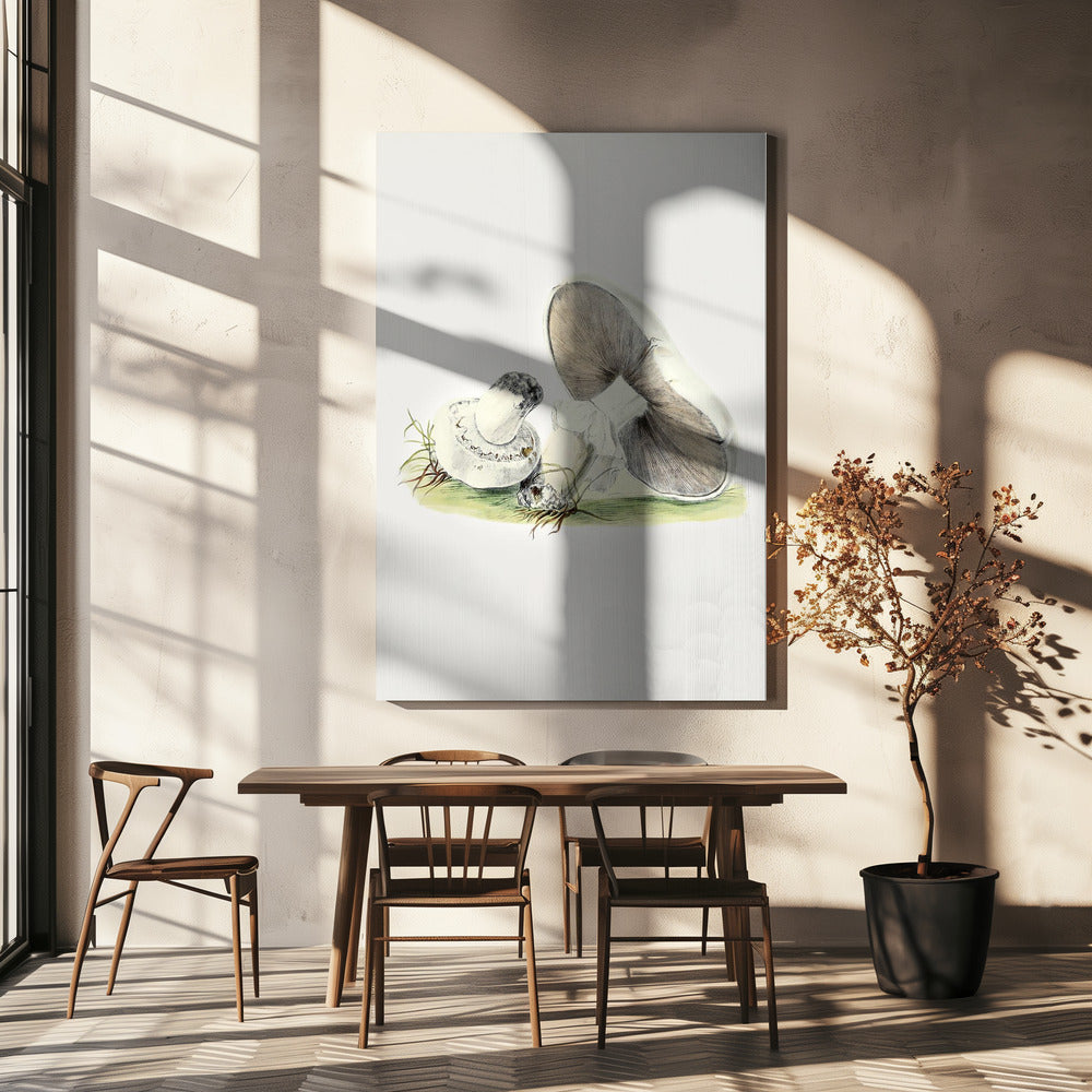 Hand Drawn Horse Mushroom Standing | Canvas