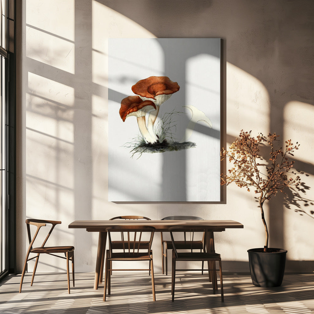 Ręcznie rysowany grzyb mlecznik rdzawy | Wydruki na łótnie