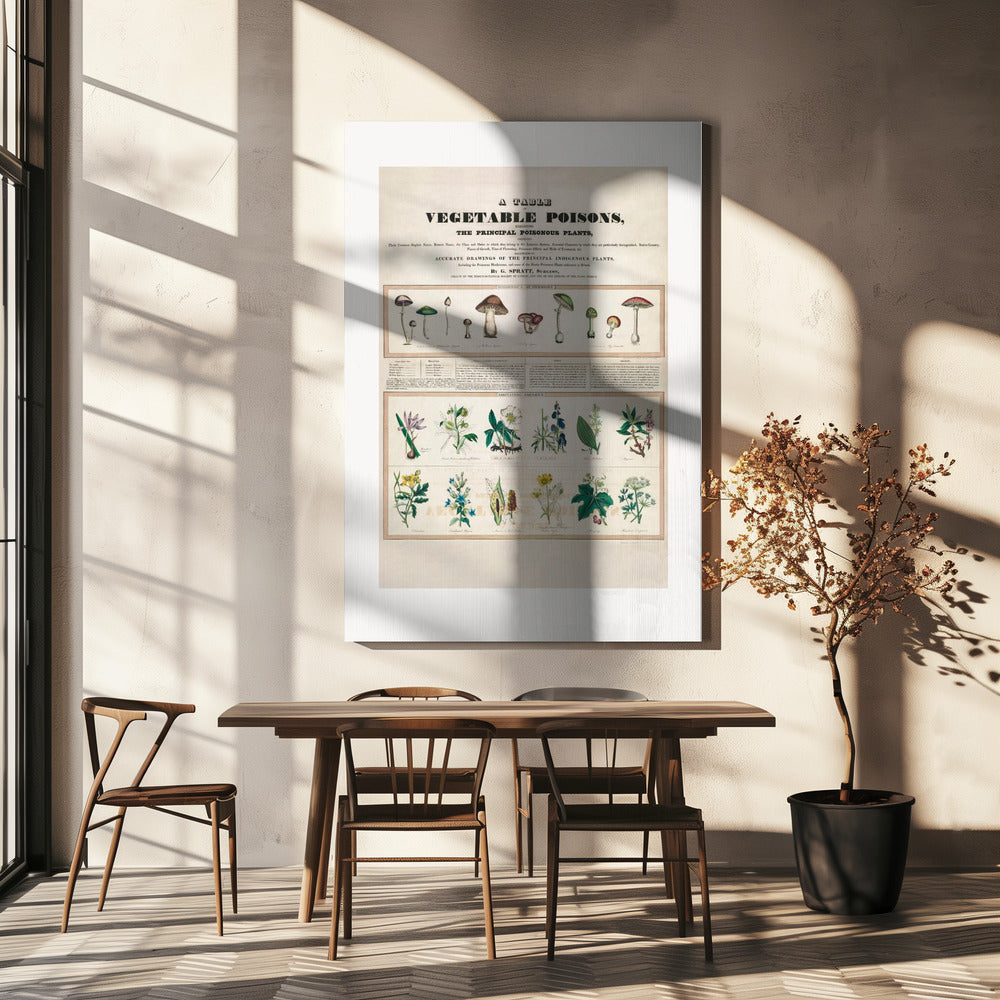 Poisonous Mushrooms Irritating Poisons | Canvas