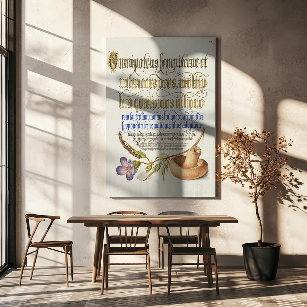 Mushroom Poster | Canvas