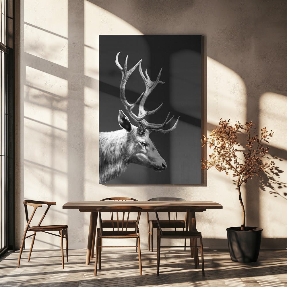 Rentier | Leinwand-Bilder
