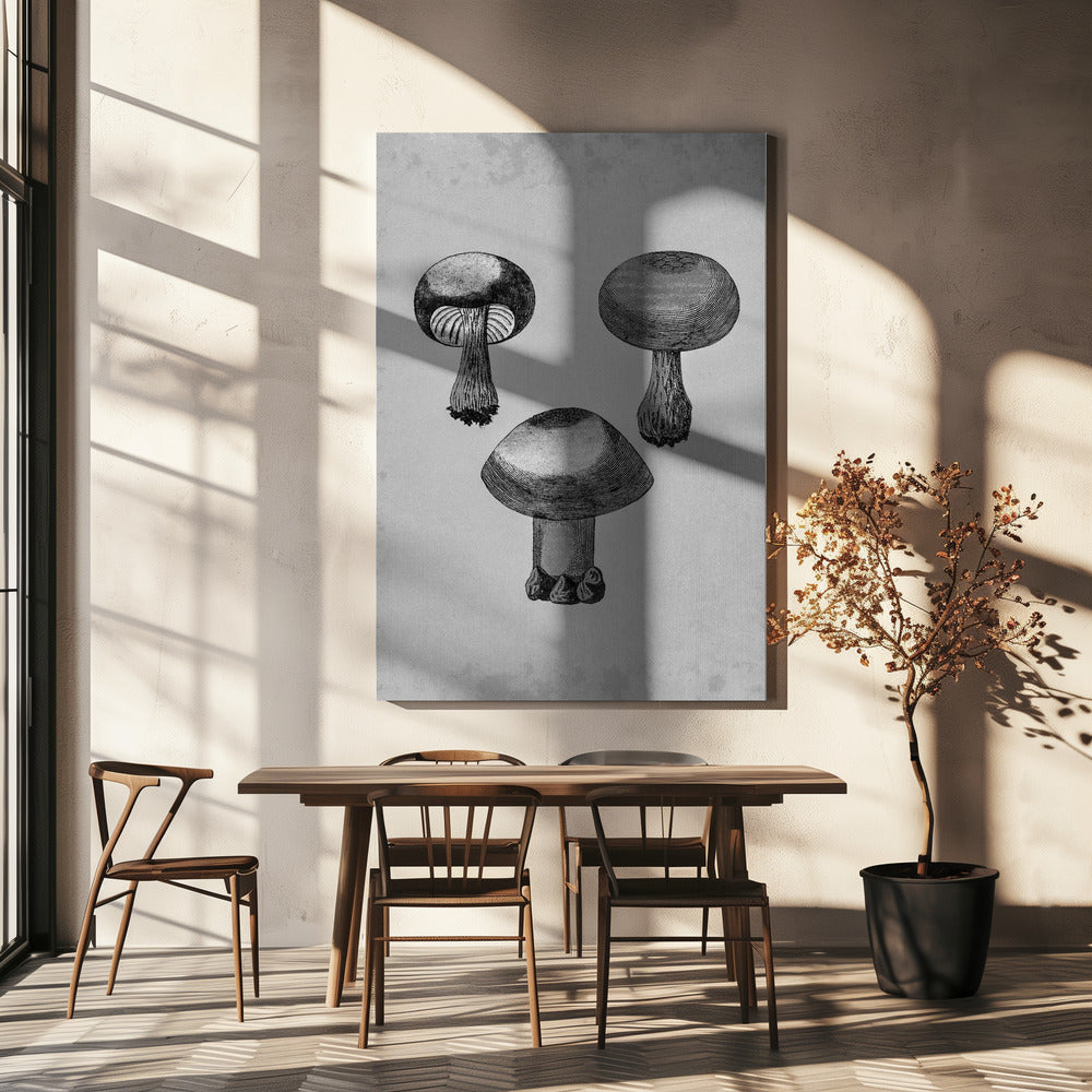 Violet Webcap Mushroom | Canvas