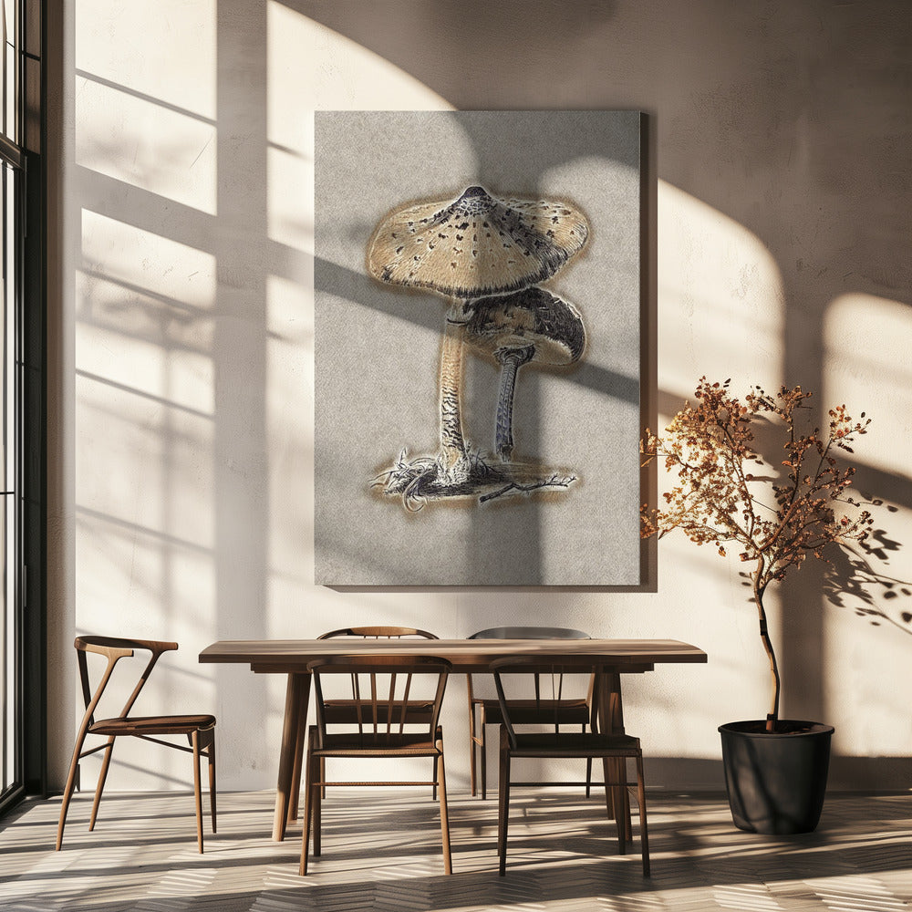 Hand Drawn Parasol Mushroom Brown | Canvas