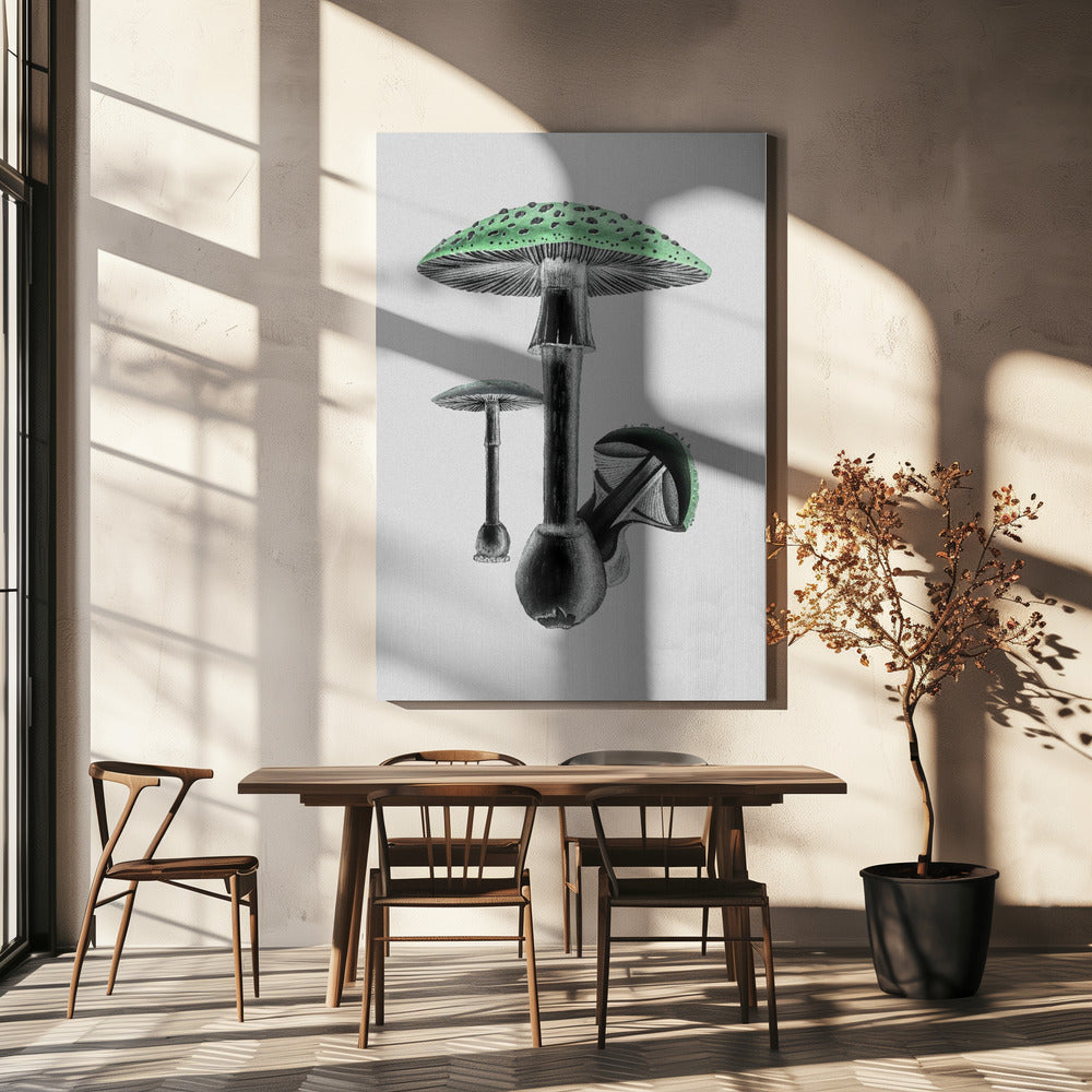 Amanita Muscaria Białe Tło Zielone | Wydruki na łótnie