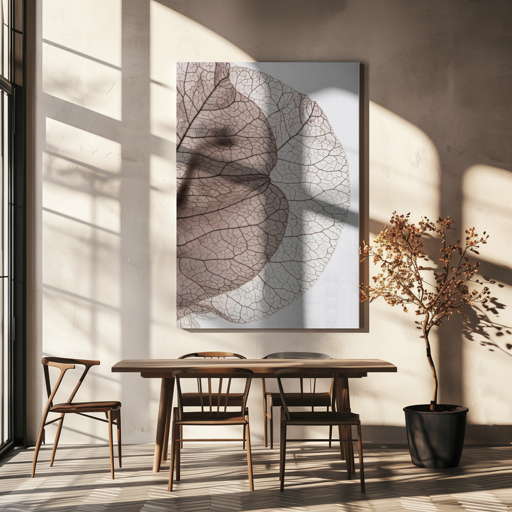 Bougainvillean saari | Canvastaulut