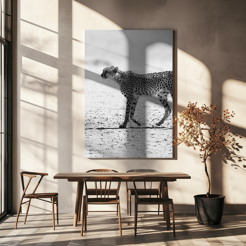 Cheetha | Canvas