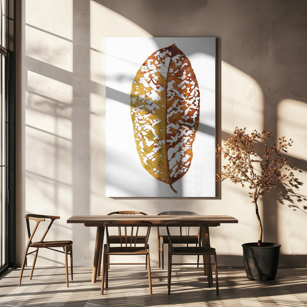 Sademetsän lehti 02 | Canvastaulut