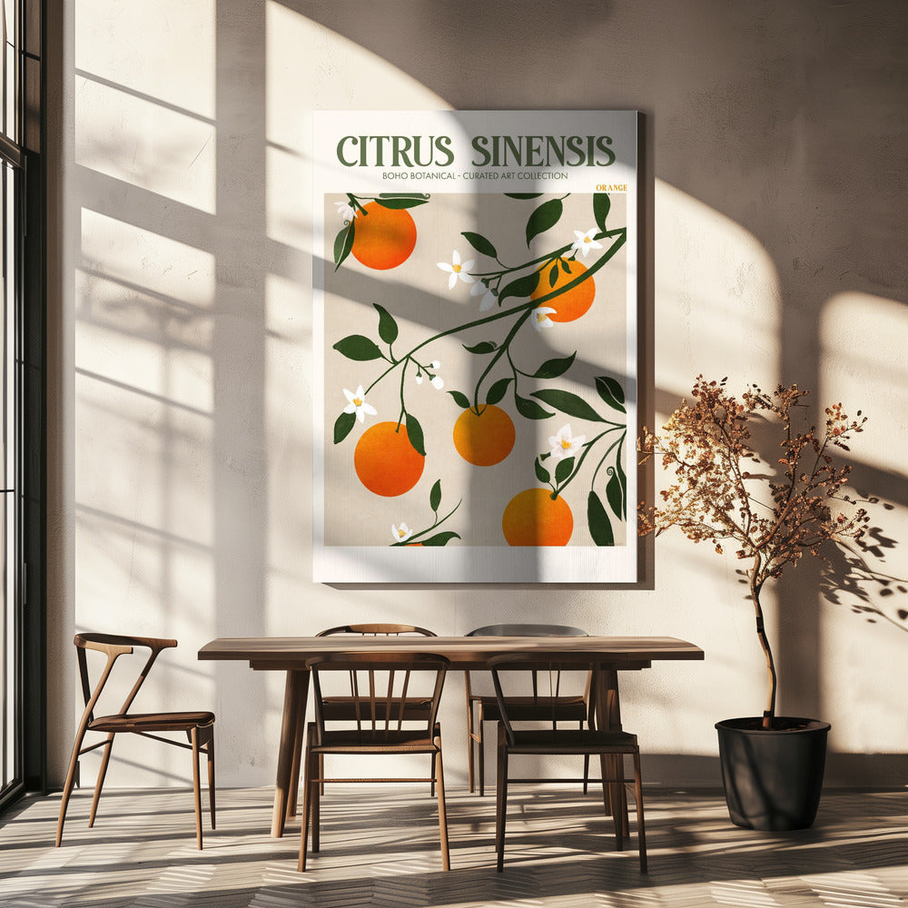Citrus Sinensis – Orange | Leinwand-Bilder