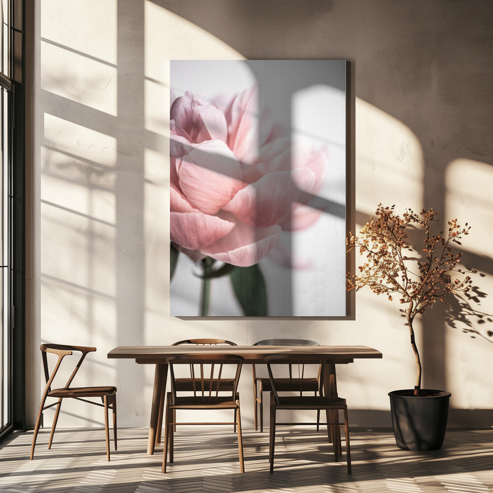 Pioni 3 | Canvastaulut