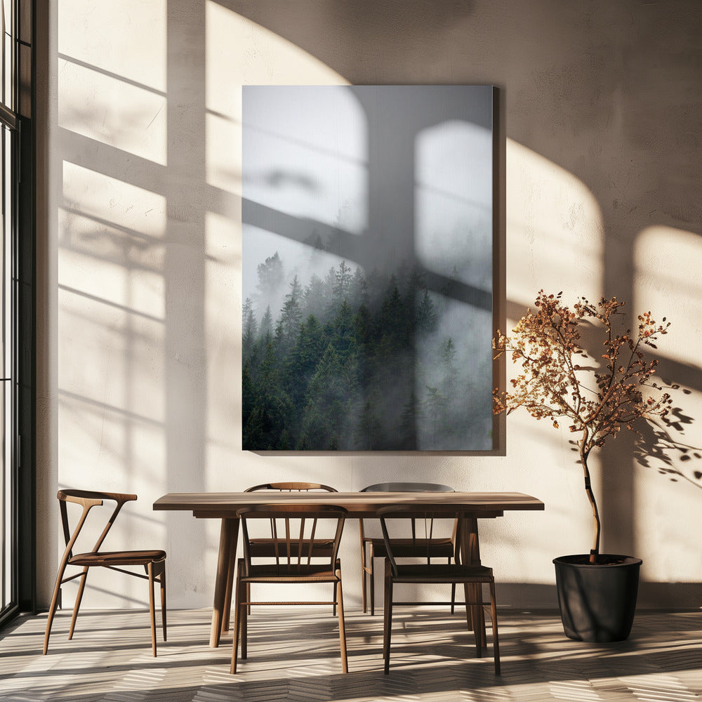 Mattina nebbiosa 2 | Stampe su Tela