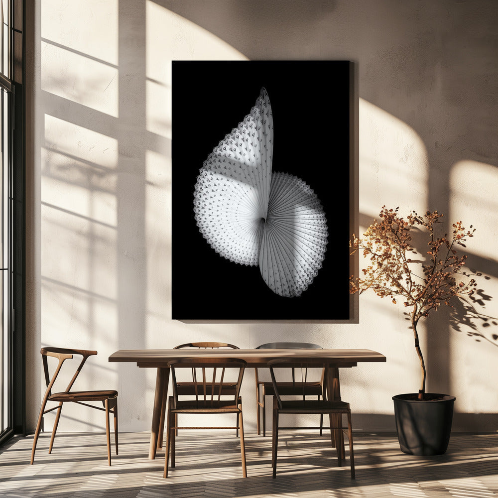 Nautilus-ähnliche Skulptur | Leinwand-Bilder