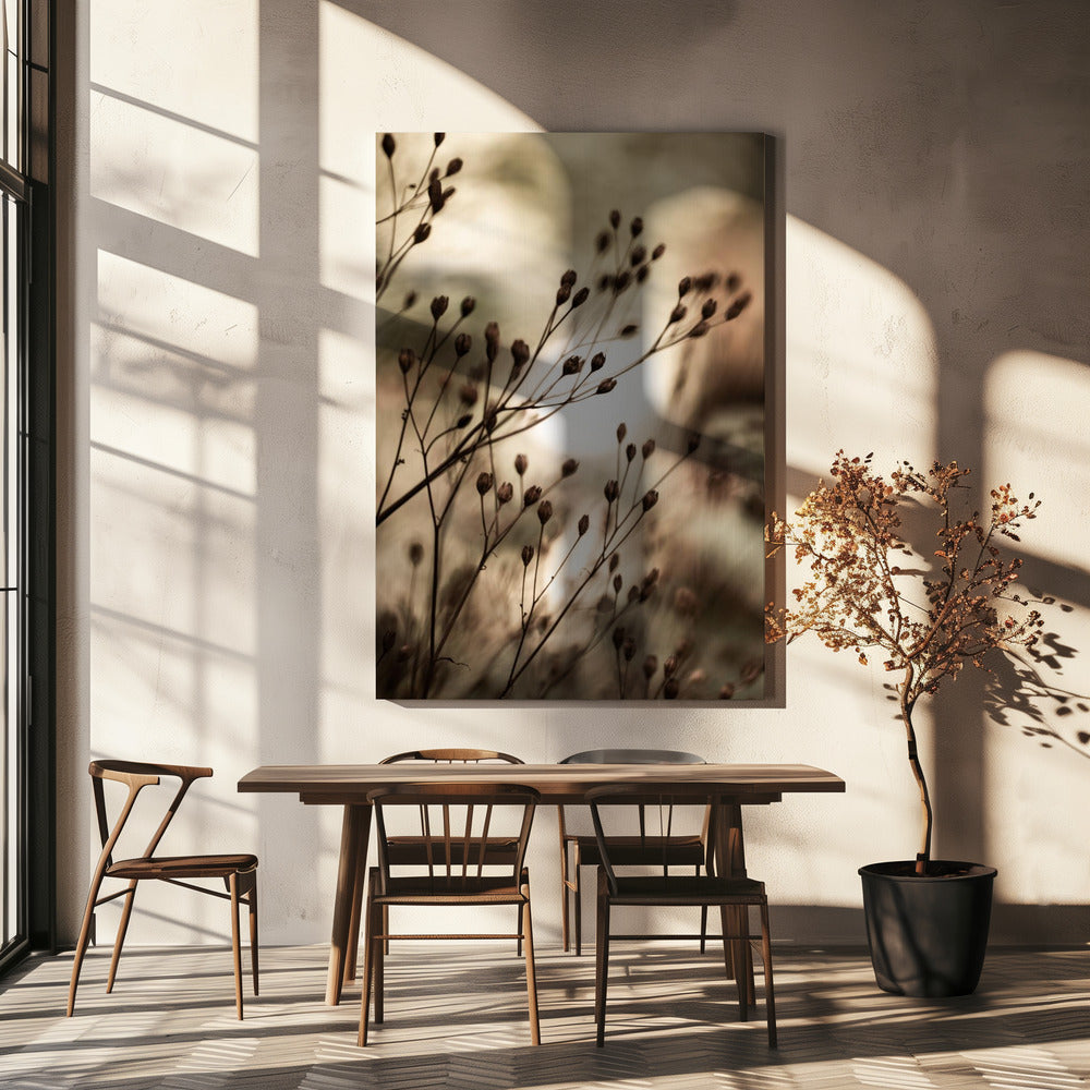 Luci autunnali | Stampe su Tela