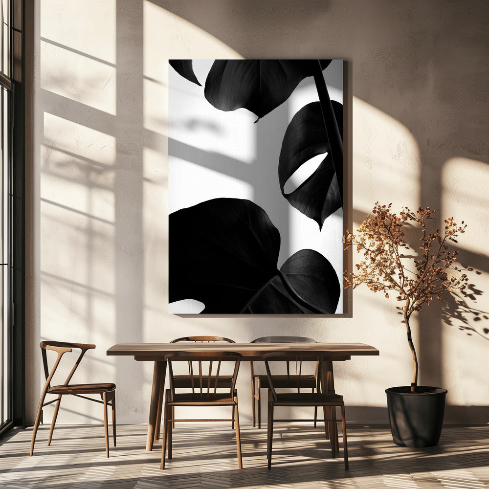 Contrasty Monstera | Canvas