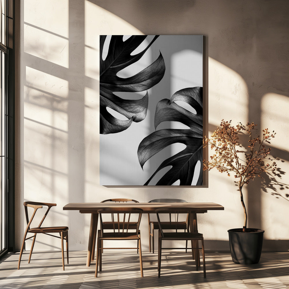 Monochrome Mostera Poster | Canvas