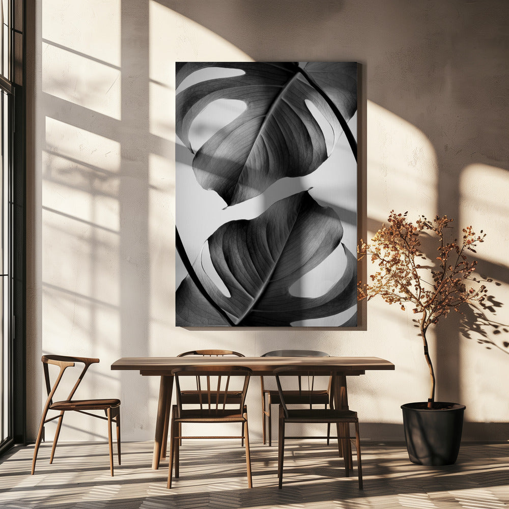 Monstera Monochrome | Canvas