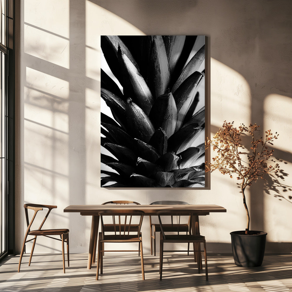 Pine B&w | Canvas