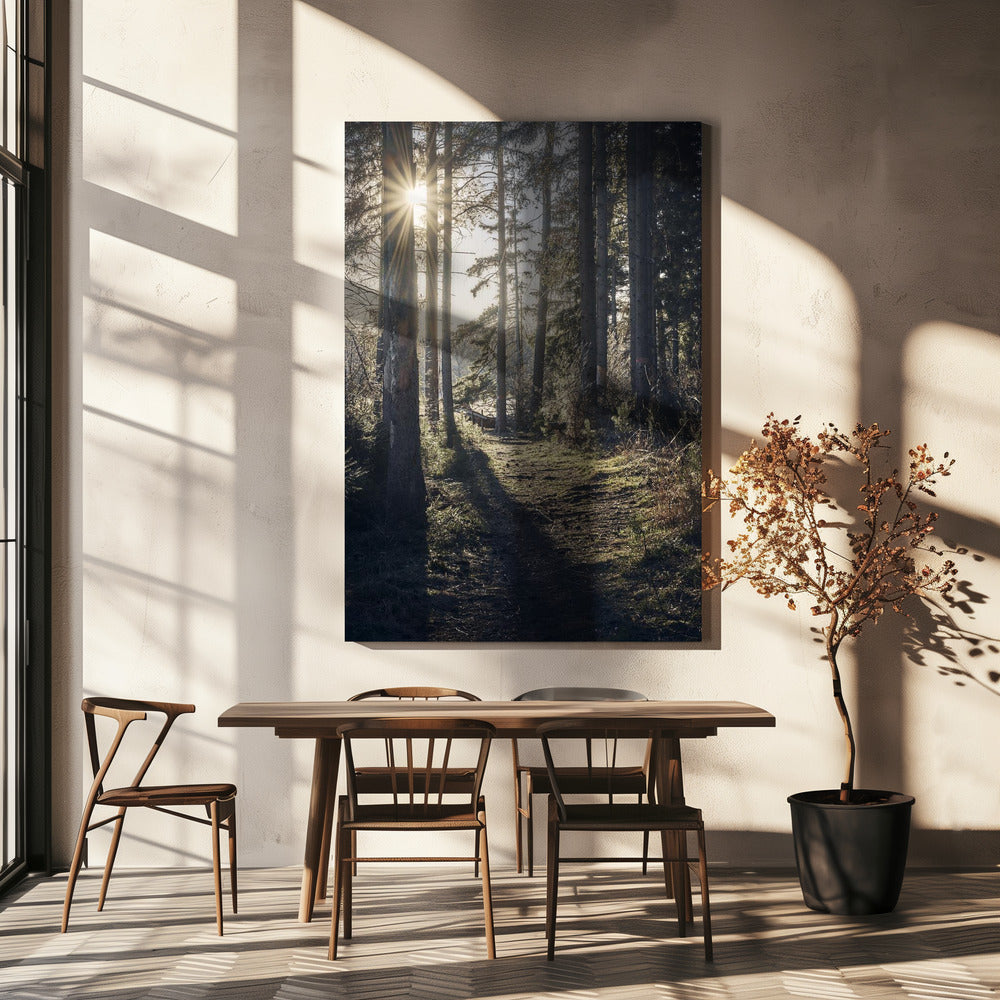 Dsf2913 Hdr 1 | Canvastaulut