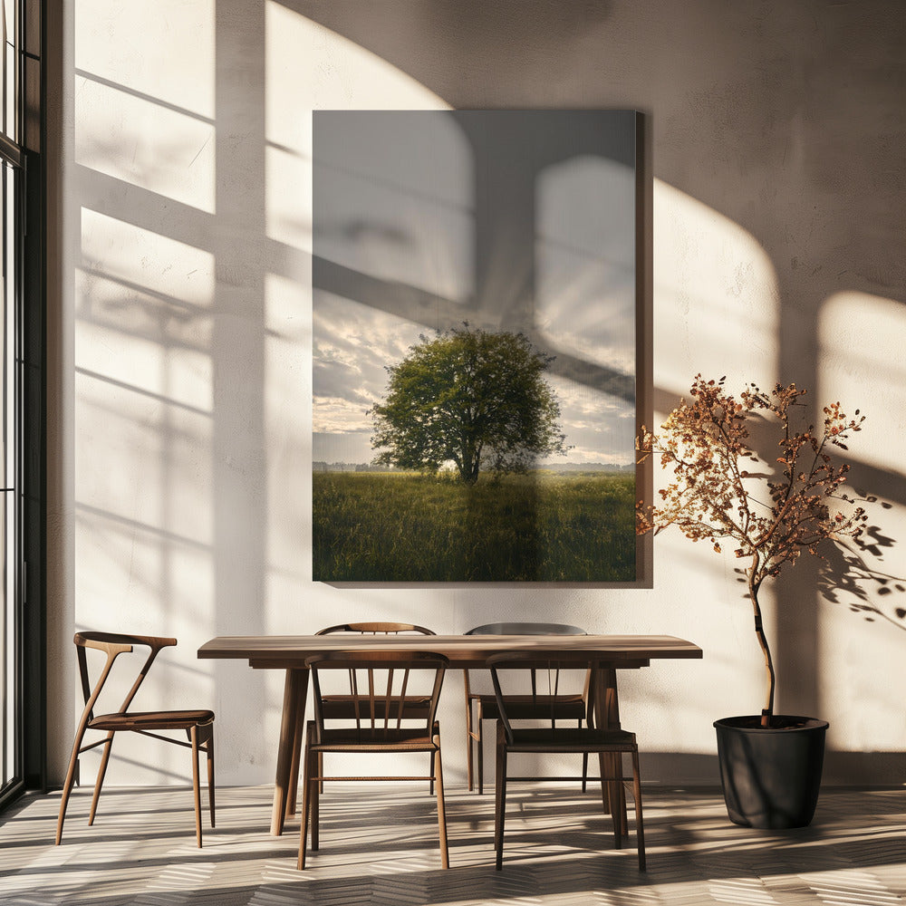 20220616 Dsf4394 | Tableaux sur Toile