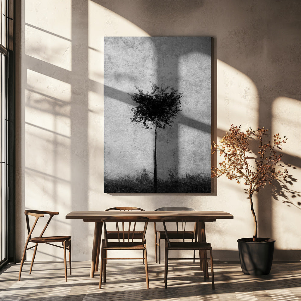 Tree in black and white | Canvas