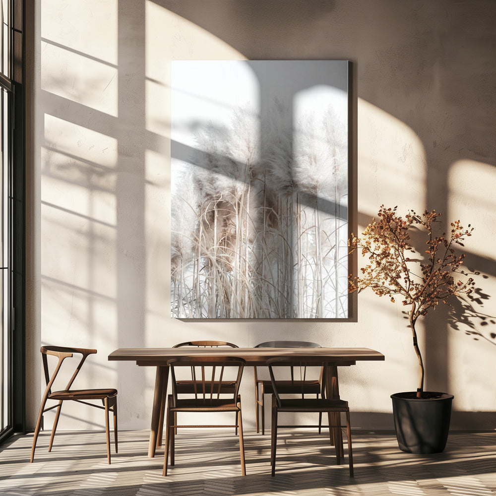 Pampas Grass II | Canvas
