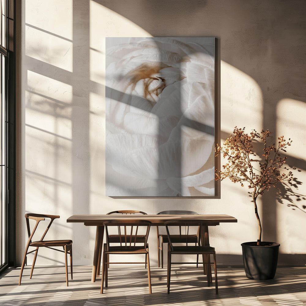 Buttercup | Canvas