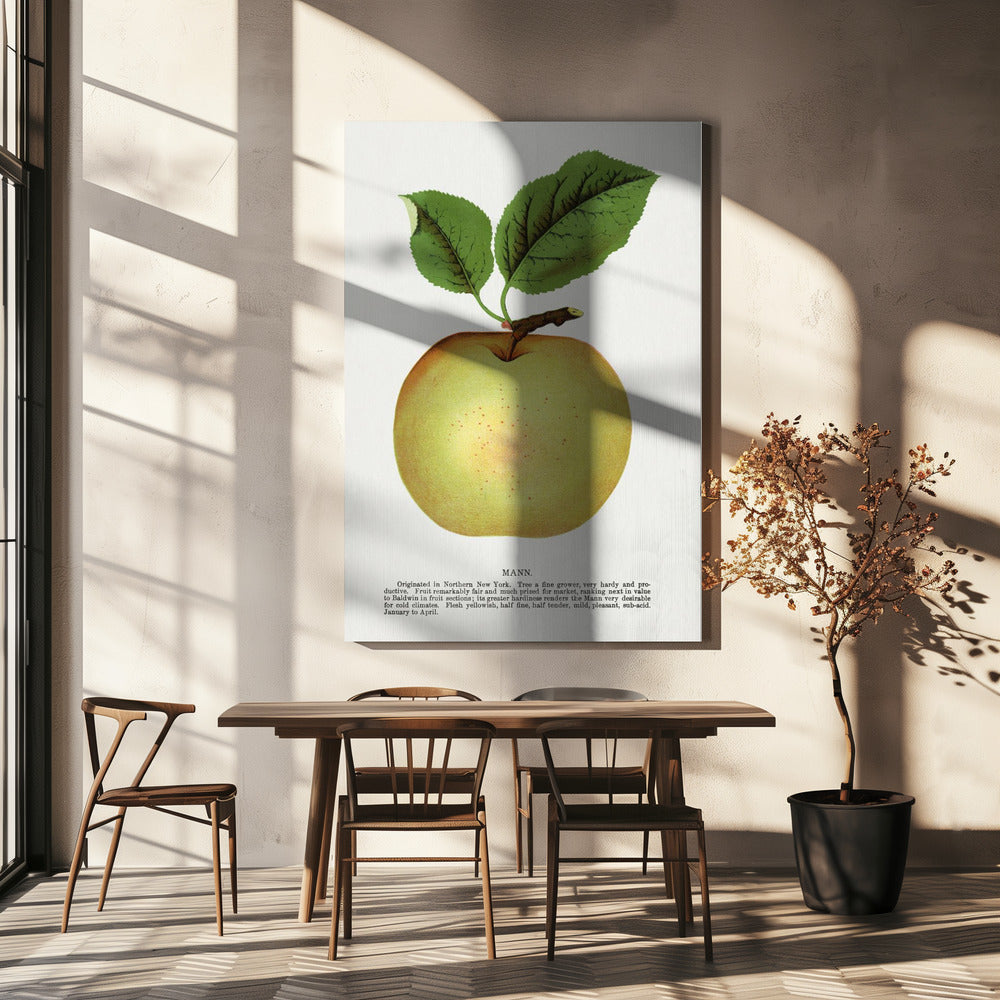 Mann Apple Lithographie | Leinwand