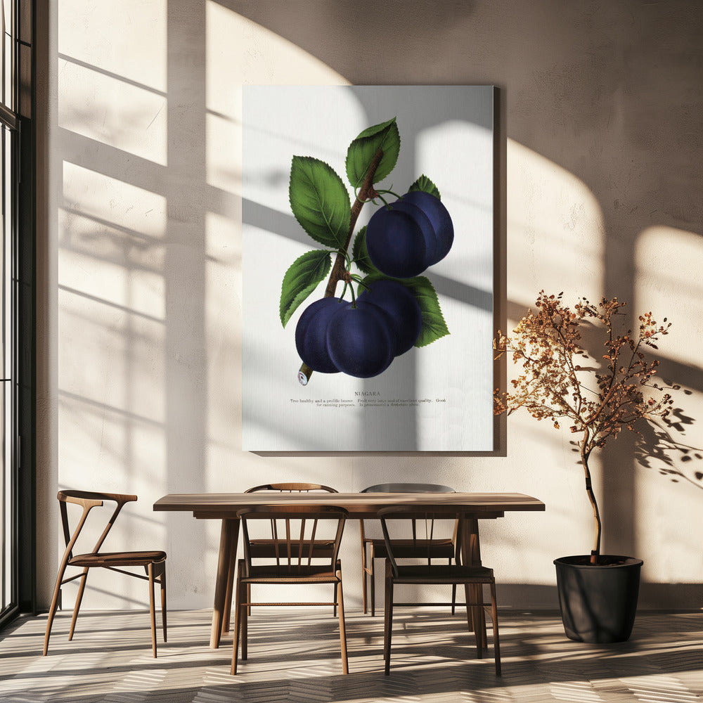 Niagara Plum Lithographie | Leinwand