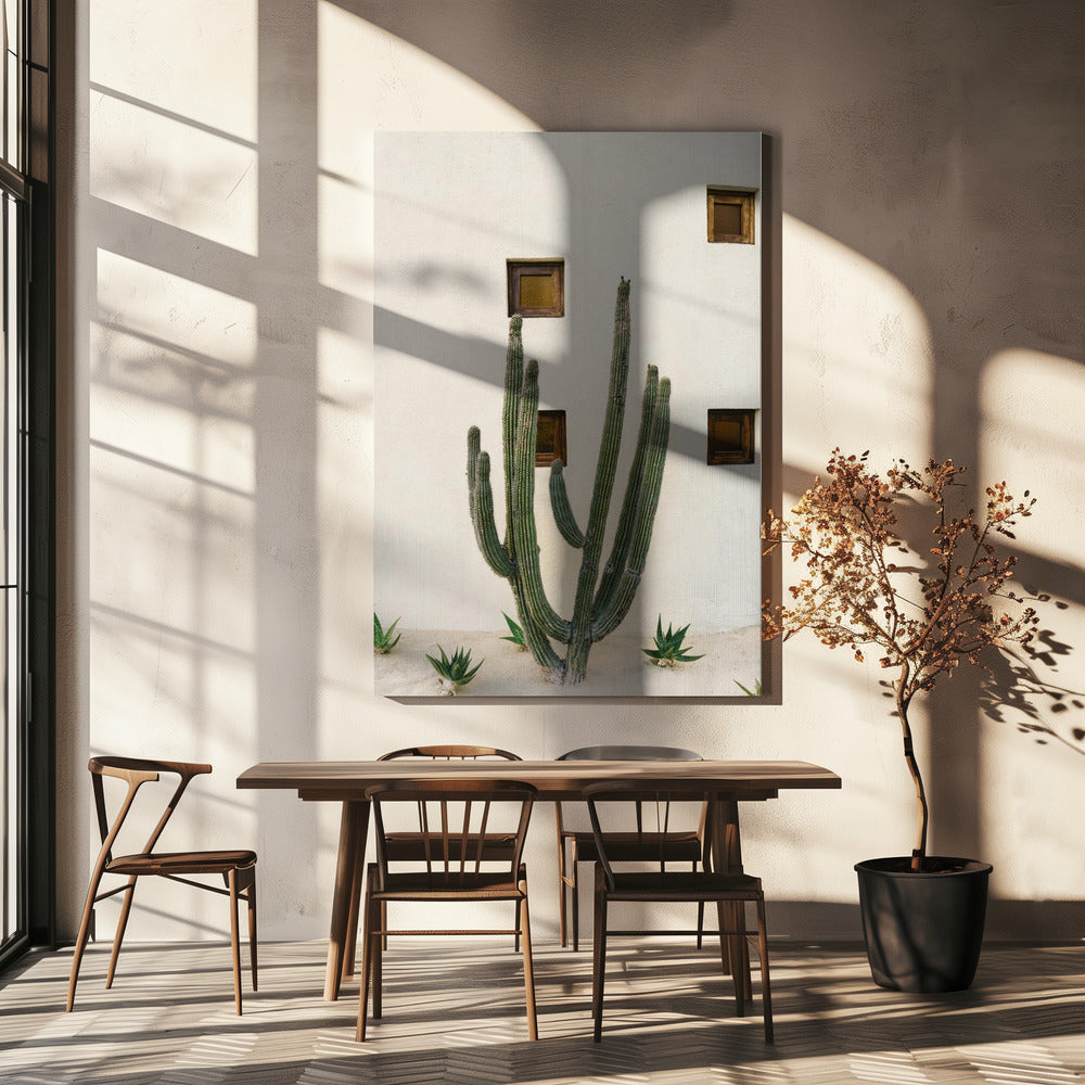 Cabo Cactus IX | Tableaux sur Toile