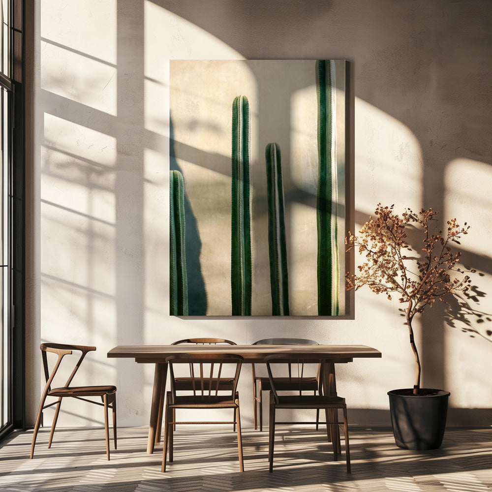 Oaxacan vihreät sävyt | Meksikon matkakuvaus | Canvastaulut