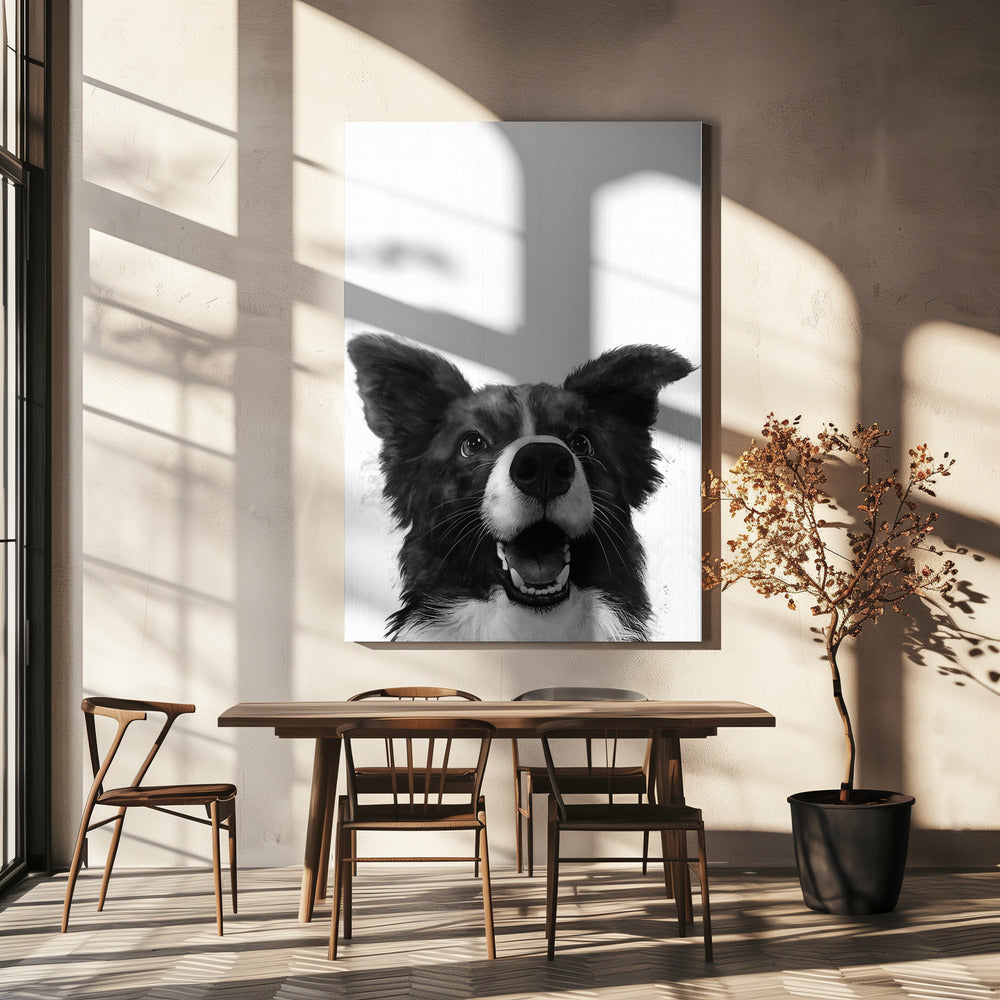 Sguardo canino gioioso | Stampe su Tela