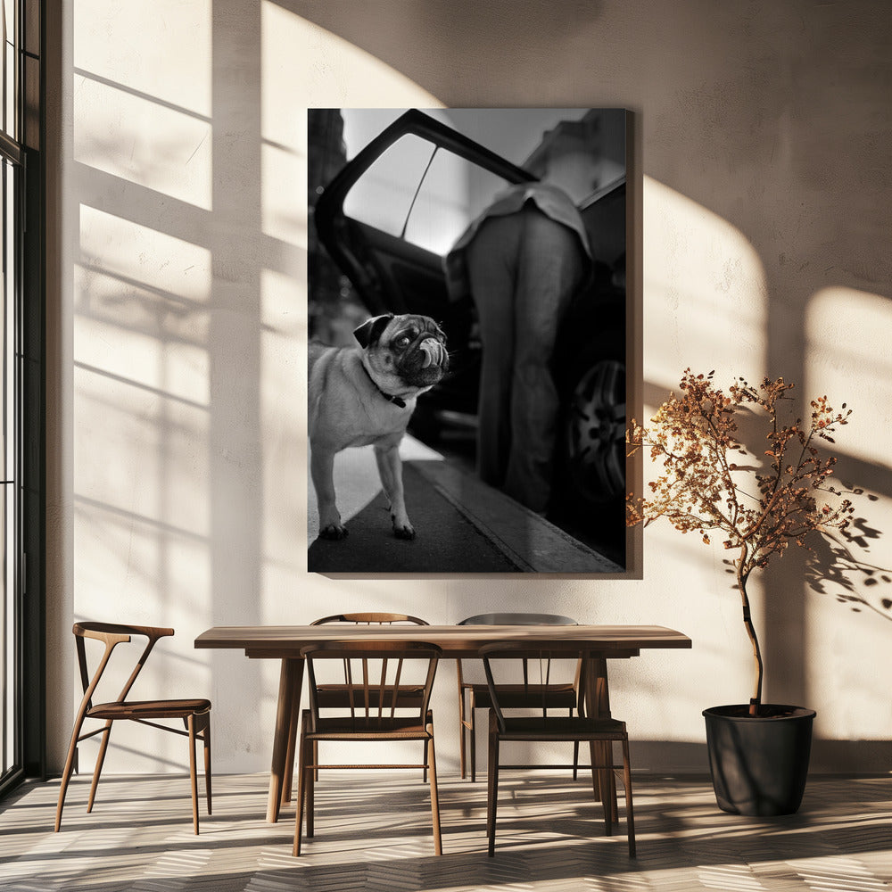Untitled | Canvas