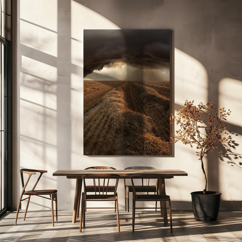 Untitled | Canvas