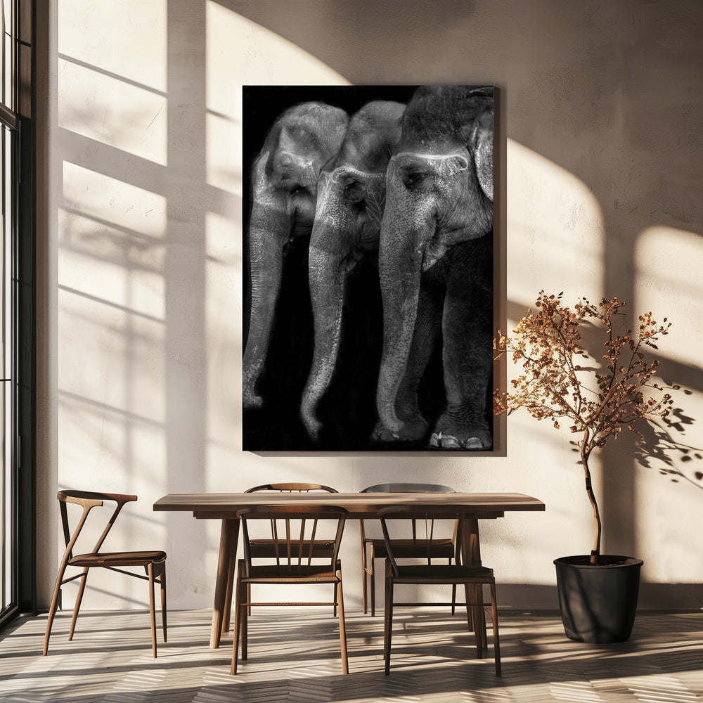 Nature\'s great masterpiece, an elephant; the only harmless great thing ... | Canvas