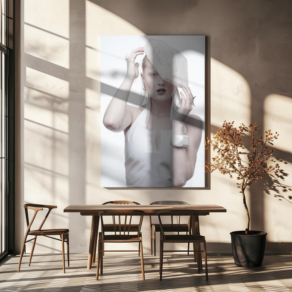 Valkoisessa huoneessa | Canvastaulut